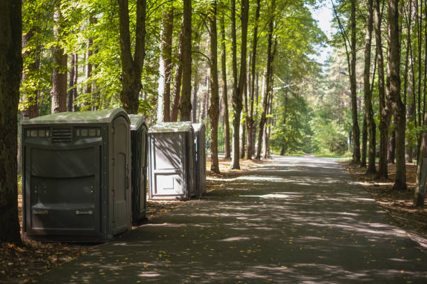 Best Stump Grinding and Removal  in Ridgebury, CT